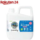 ナノックスワン NANOXone ニオイ専用 部屋干し 洗濯洗剤 本体大(640g)【NANOXone】