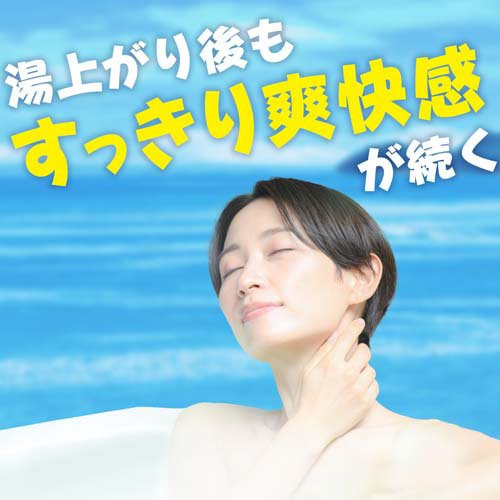 温泡 炭酸入浴剤 瀬戸内レモン 4種アソート 個包装(12錠入×5セット)【温泡】