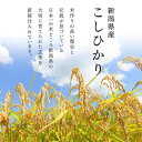 令和5年産 新潟県産こしひかり チャック付き(2kg) 2