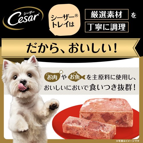 シーザー シニア用 14歳からの吟選ビーフ ドッグフード ウエット(100g*6個セット)【シーザー(ドッグフード)(Cesar)】[ドッグフード] rakuten24-10910442 楽天24 サンプル画像2
