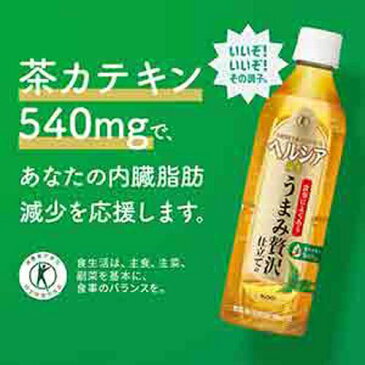 ヘルシア 緑茶 うまみ贅沢仕立て(500ml*24本入)【d2rec】【ヘルシア】