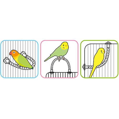 �����ץѡ��� 40(6���å�)