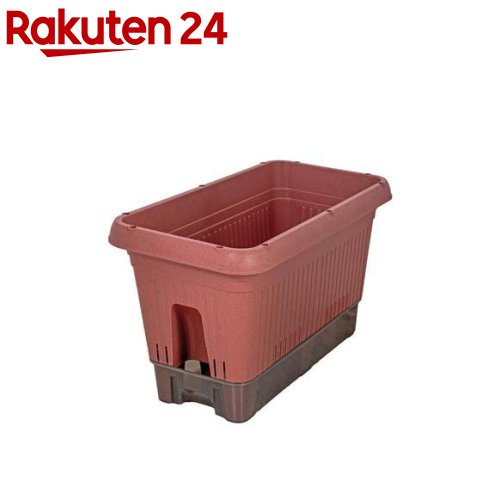 LIVPLUSプランターペットボト...