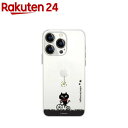 lR}WE iPhone 13 Pro \tgNAP[X TCNO ABF21760i13P(1)yArBtYz