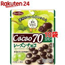 果実ヴェール カカオ70 レーズンチョコ(42g*10コセット)[チョコレート ホワイトデー 義理チョコ]