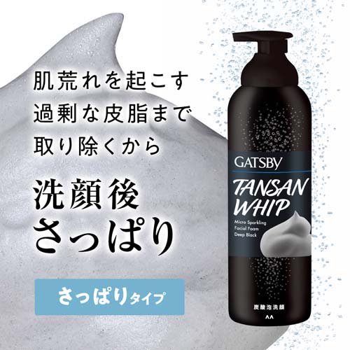 ����ĥӡ� �ޥ��������ѡ������ˢ���� �ǥ����ץ֥�å�(200g*3�ĥ��å�)��GATSBY(����ĥӡ�)��