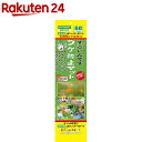 上部フィルター用マット すごいんです コケ防止マット(1枚入)【コトブキ工芸】