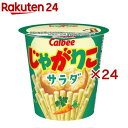 じゃがりこ サラダ(57g×24セット)【じゃがりこ】