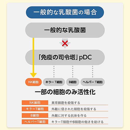 ファンケル 免疫サポート 機能性表示食品 粒タイプ 30日分(30粒入×2セット)【ファンケル】 rakuten24-11272831 楽天24 サンプル画像3