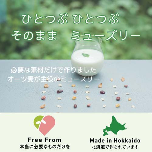 日食 Feel＆Green ひとつぶ ひとつぶ そのまま ミューズリー(200g×4セット)