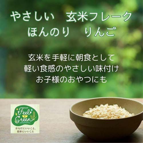 日食 Feel＆Green やさしい玄米フレーク ほんのりりんご(120g×4セット)