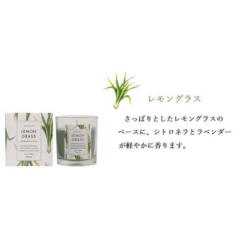 Green Oasis グラス入りキャンドル レモングラス IDGO0104(1個)