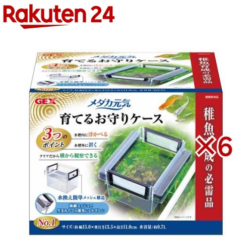 メダカ元気 育てるお守りケース(6セット)【メダカ元気】
