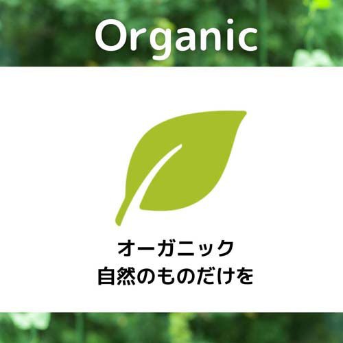 日食 Feel＆Green やさしいコーンフレーク プレーン(120g×10セット) rakuten24-11349327 楽天24 サンプル画像3