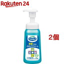 ペットキレイ 除菌できるふきとりフォーム 本体(250ml*2個セット)【ペットキレイ】