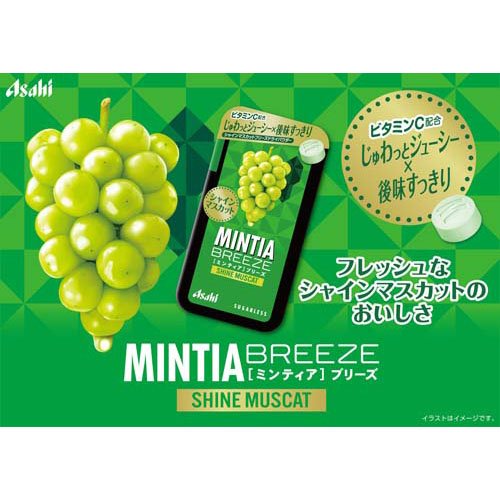 �ߥ�ƥ����֥꡼�� ���㥤��ޥ����å�(30γ����24���å�)��MINTIA(�ߥ�ƥ���)��