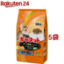 キャネットチップ かつお味ミックス(2.7kg*5コセット)