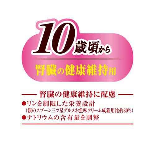 銀のスプーン 三ツ星グルメ お魚味クリーム 10歳(18g*10袋入*3箱セット)【銀のスプーン 三ツ星グルメ】