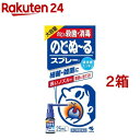 【第3類医薬品】小林製薬 のどぬ〜るスプレー大容量(25ml*2箱セット)【のどぬ〜る(のどぬーる)】