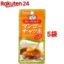 カレーパートナー マンゴーチャツネペースト(40g*5袋セット)