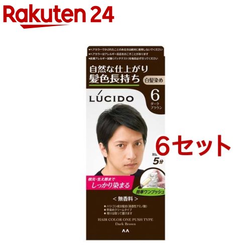 ルシード ワンプッシュケアカラー 6 ダークブラウン(50g+50g*6セット)【ルシード(LUCIDO)】