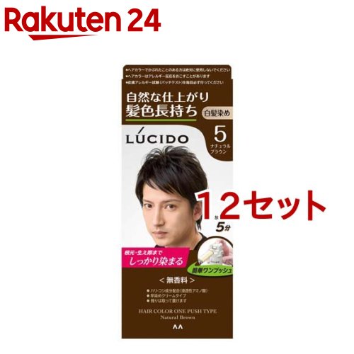 ルシード ワンプッシュケアカラー 5 ナチュラルブラウン(50g+50g*12セット)【ルシード(LUCIDO)】