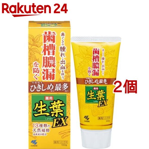 薬用生葉EX 100g*2コセット 【生葉】[歯槽膿漏を防ぐ 和漢ハーブの香味 薬用ハミガキ]