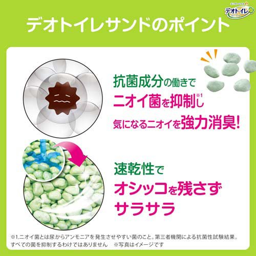 サンプル画像3