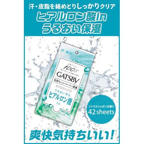 ����ĥӡ� �ե��������ڡ��ѡ� �⥤���ȥ�����(42����*3�ޥ��å�)�ڥ���ĥӡ�(GATSBY)��