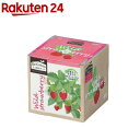エコ栽培キット Re:Green ワイルドストロベリー(1個)