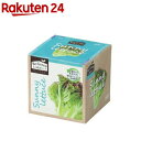 エコ栽培キット Re:Green サニーレタス(1個)