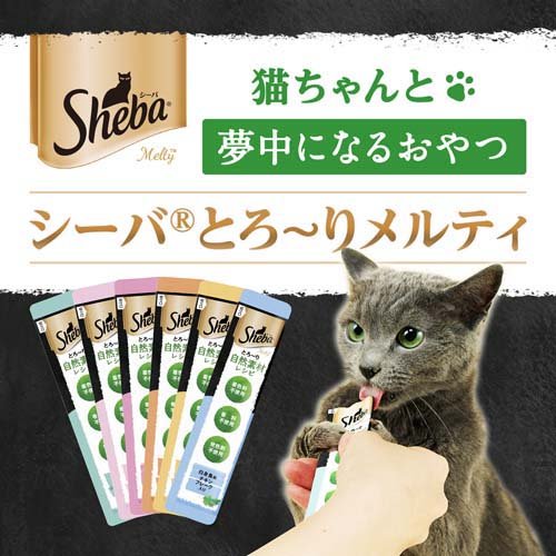 サンプル画像3