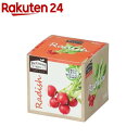 エコ栽培キット Re:Green ラディッシュ(1個)