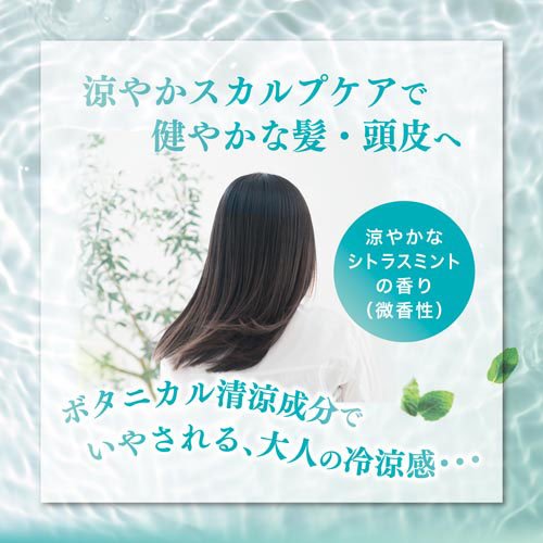 モルティ 薬用育毛ボタニカルクール(180g*3本セット)【モルティ】