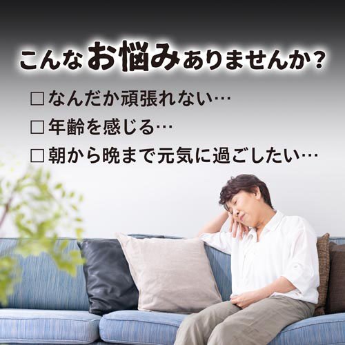 熟成黒にんにく黒酢もろみ 約30日分(90粒×5袋セット)【小林製薬の栄養補助食品】 rakuten24-10885488 楽天24 サンプル画像2