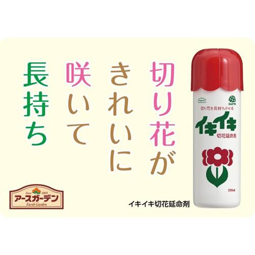 �����������ǥ� ���������ڲֱ�̿��(230ml*3�ܥ��å�)�ڥ����������ǥ��