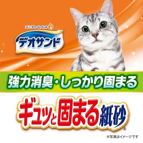 サンプル画像2