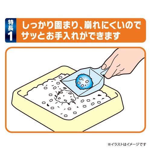 サンプル画像3