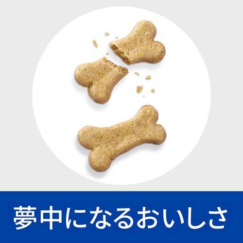 サンプル画像2