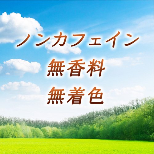 アサヒ ルイボスティー ラベルレス ペットボトル(500ml*48本セット)【アサヒ】[お茶]
