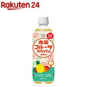 不二家 南国フルーツスカッシュ ペットボトル(500ml×24本)【不二家】(4)