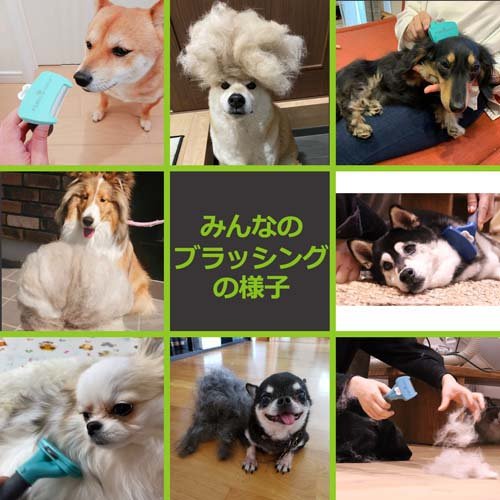 ファーミネーター 中型犬 Mサイズ 長毛種用 正規品(1個)【ファーミネーター】 3