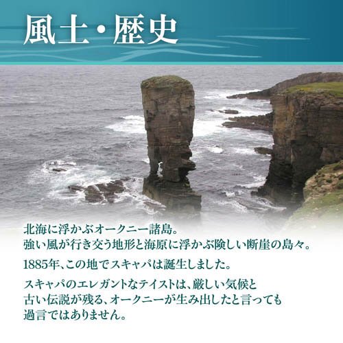 スキャパ10年 シングルモルト ウイスキー(700ml×2セット)