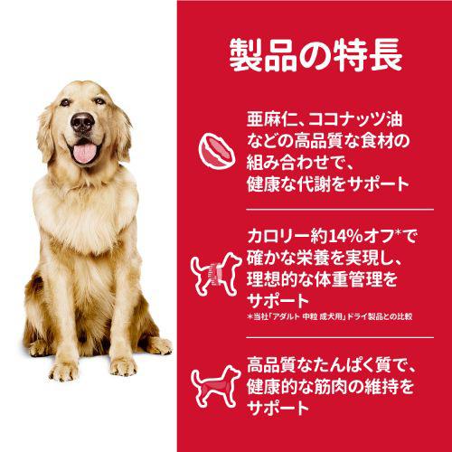 サンプル画像2