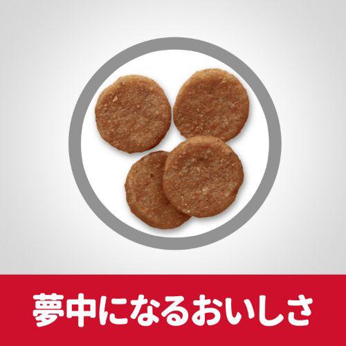 サンプル画像3