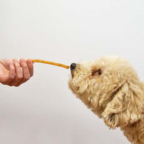 ���ۤ��ӥ��쥯�� �·ܤ��餫�������� �����ߡ����(85g*3�ޥ��å�)�ڥɥ����ޥ�(Doggy Man)��