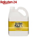超耐久プロつやコートI(ワン) HG(4L)