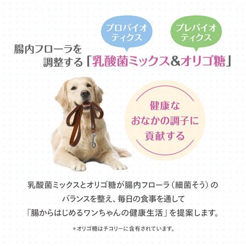 Supergold おなかラボ シニア犬用(2.4kg×4セット)【morinaga】 rakuten24-11414110 楽天24 サンプル画像2