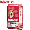 アイムス 成犬用 健康維持用 ラム＆ライス 小粒(12kg)