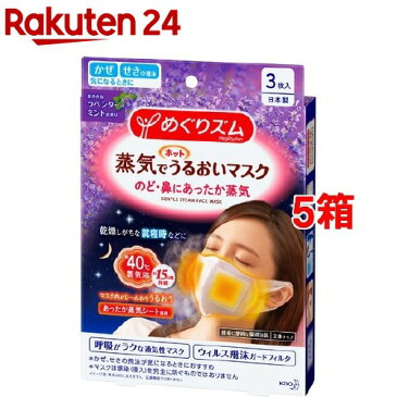 めぐりズム 蒸気でホットうるおいマスク ラベンダーミントの香り(3枚入*5箱セット)【めぐりズム】